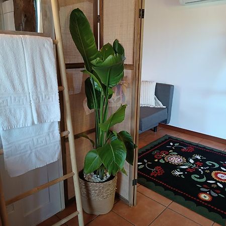 Casa Das Fontelas 派瓦堡 外观 照片